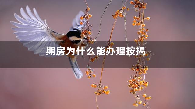 期房为什么能办理按揭