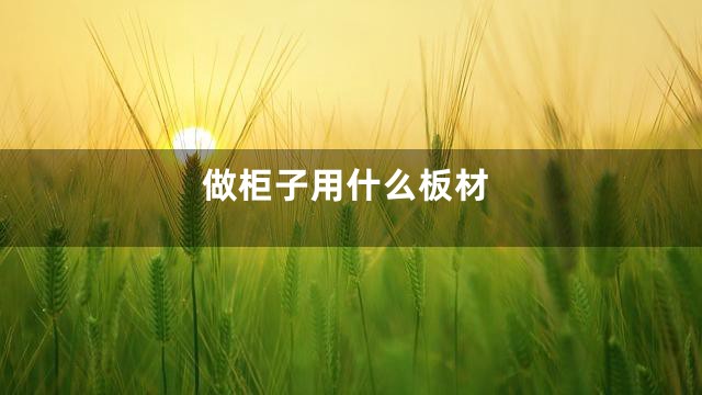 做柜子用什么板材