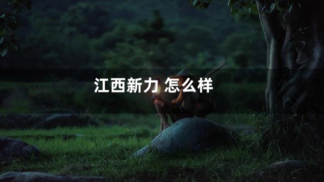 江西新力 怎么样