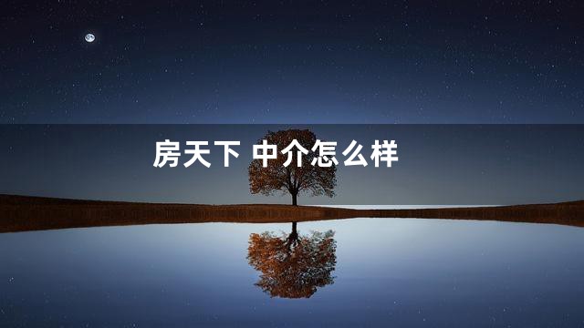 房天下 中介怎么样