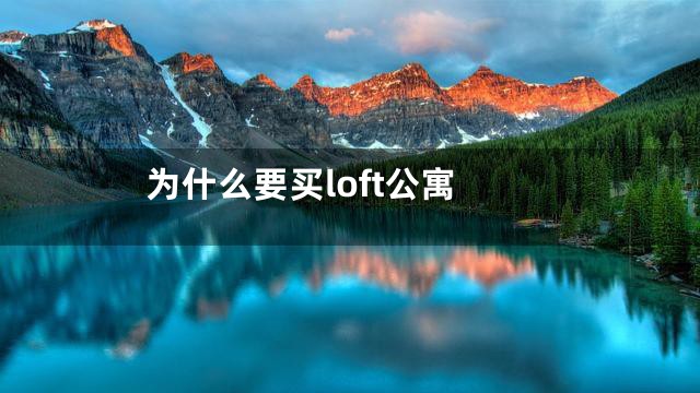 为什么要买loft公寓