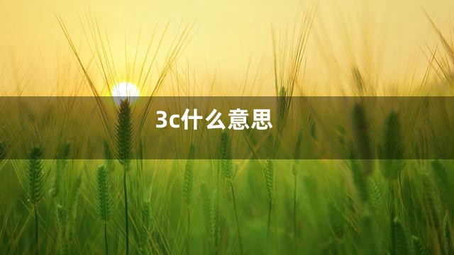3c什么意思