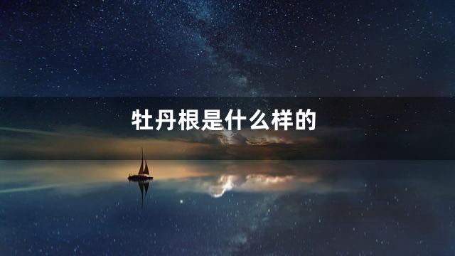 牡丹根是什么样的