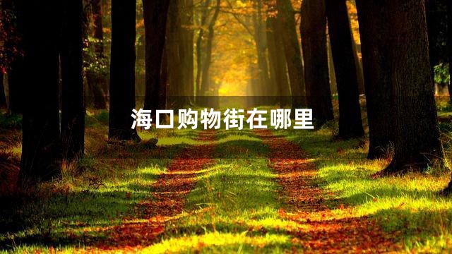 海口购物街在哪里