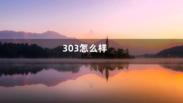 303怎么样