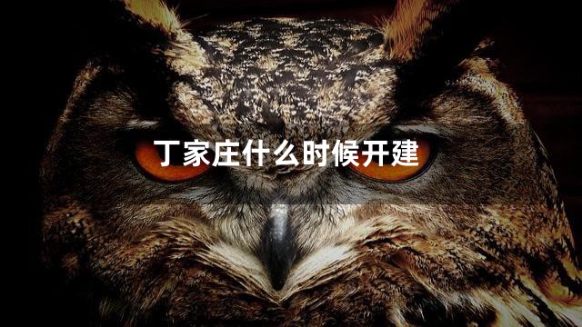 丁家庄什么时候开建