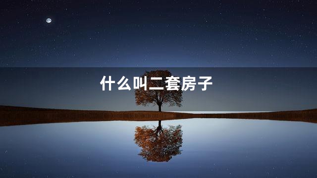 什么叫二套房子