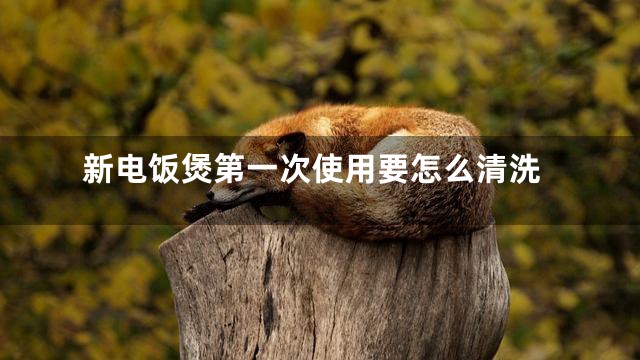 新电饭煲第一次使用要怎么清洗