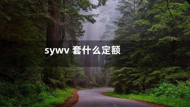sywv 套什么定额