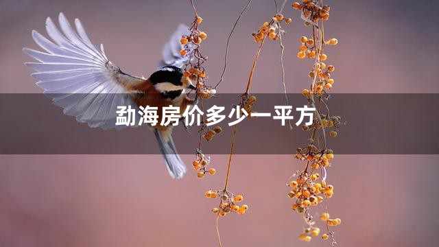 勐海房价多少一平方