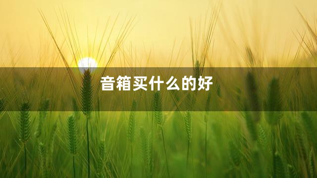 音箱买什么的好