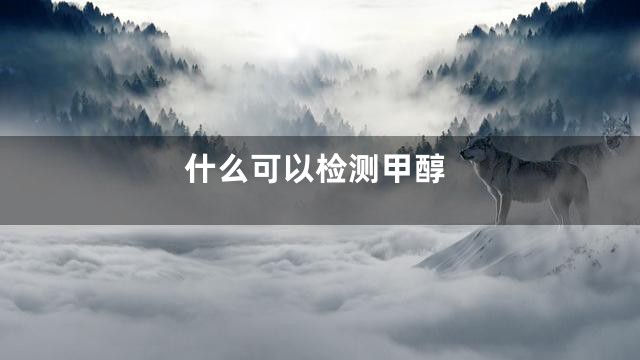 什么可以检测甲醇