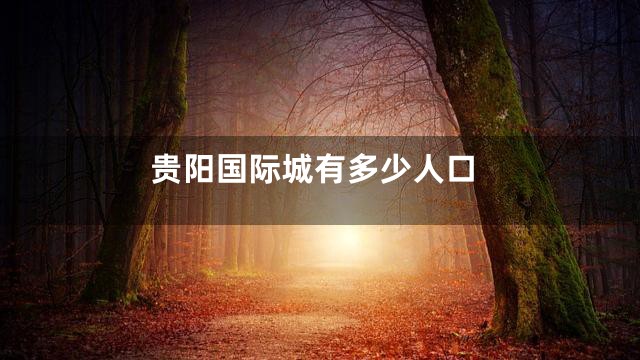 贵阳国际城有多少人口