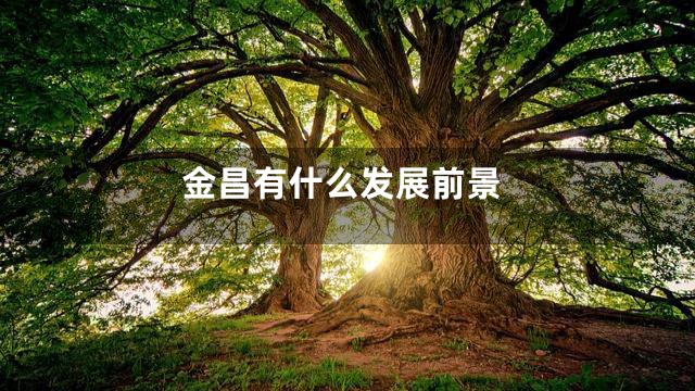 金昌有什么发展前景