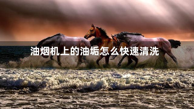 油烟机上的油垢怎么快速清洗