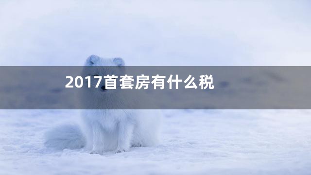 2017首套房有什么税