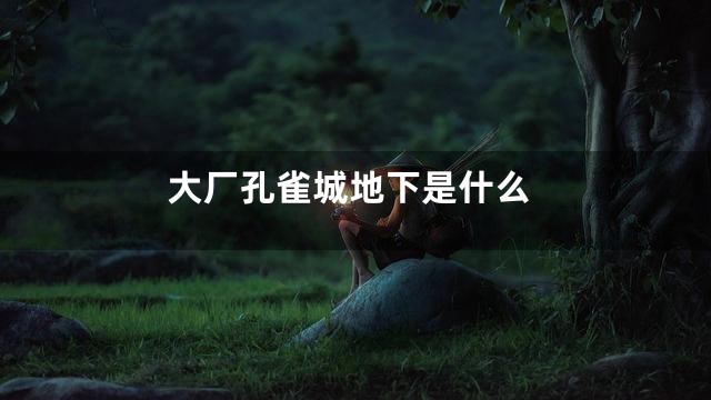 大厂孔雀城地下是什么