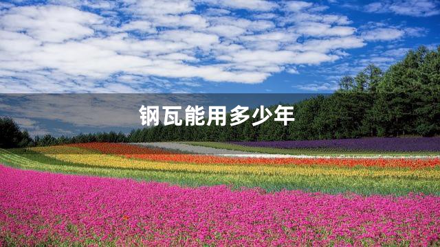 钢瓦能用多少年