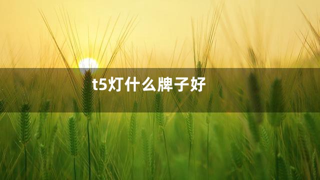 t5灯什么牌子好