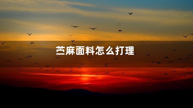 苎麻面料怎么打理