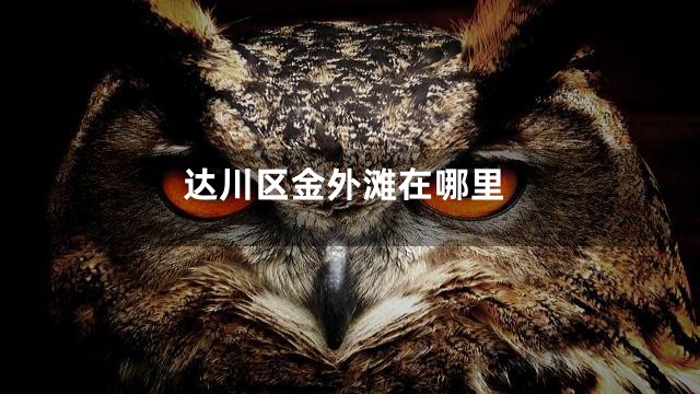 达川区金外滩在哪里