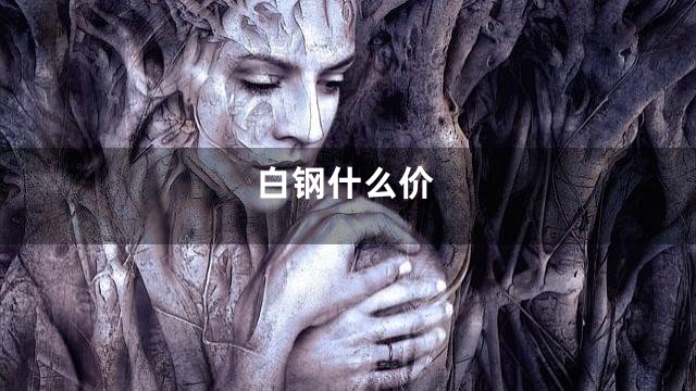 白钢什么价