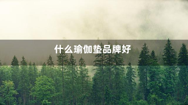 什么瑜伽垫品牌好