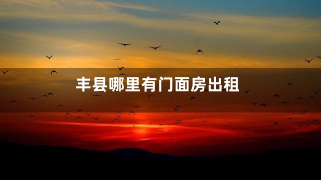 丰县哪里有门面房出租