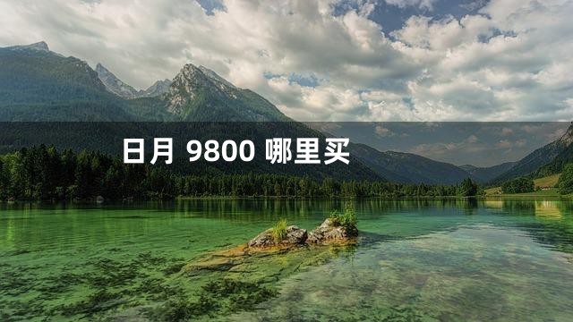 日月 9800 哪里买