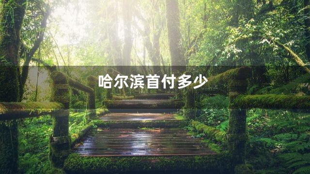 哈尔滨首付多少