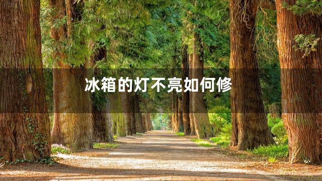 冰箱的灯不亮如何修