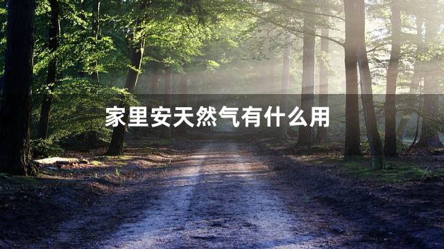 家里安天然气有什么用
