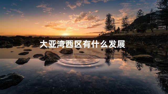大亚湾西区有什么发展