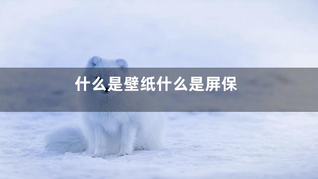什么是壁纸什么是屏保