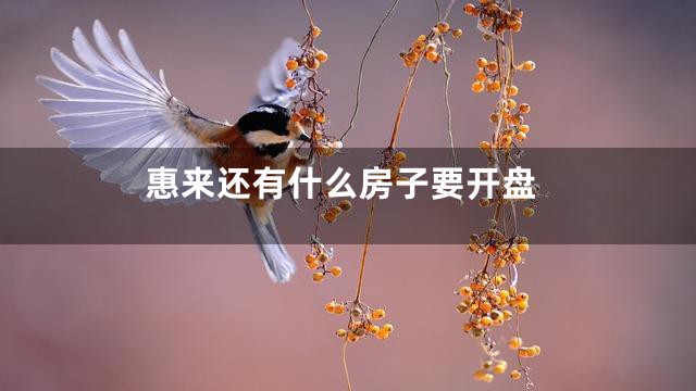 惠来还有什么房子要开盘