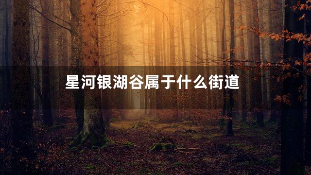 星河银湖谷属于什么街道