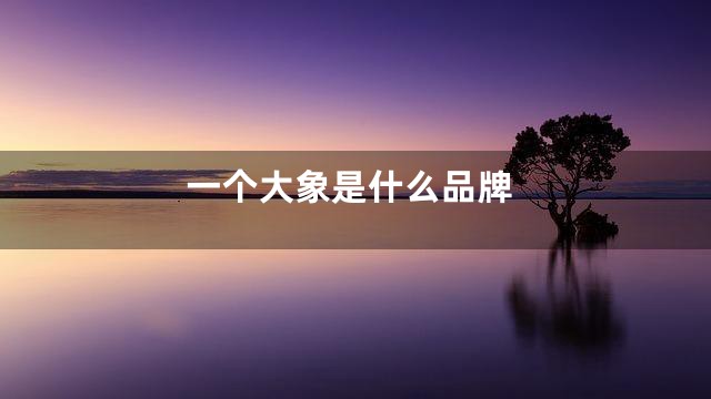 一个大象是什么品牌