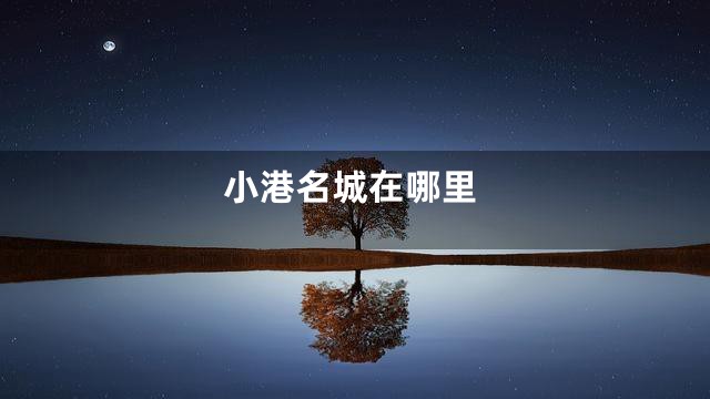 小港名城在哪里