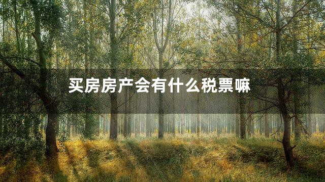 买房房产会有什么税票嘛