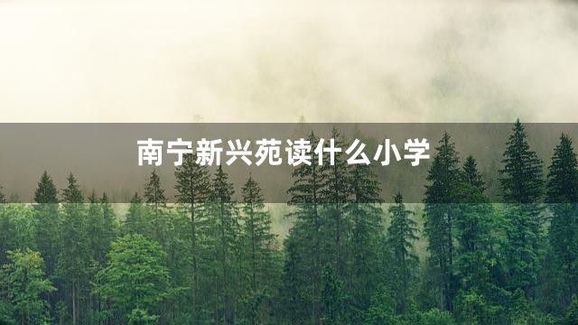 南宁新兴苑读什么小学