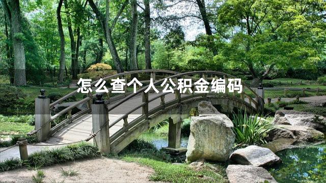 怎么查个人公积金编码