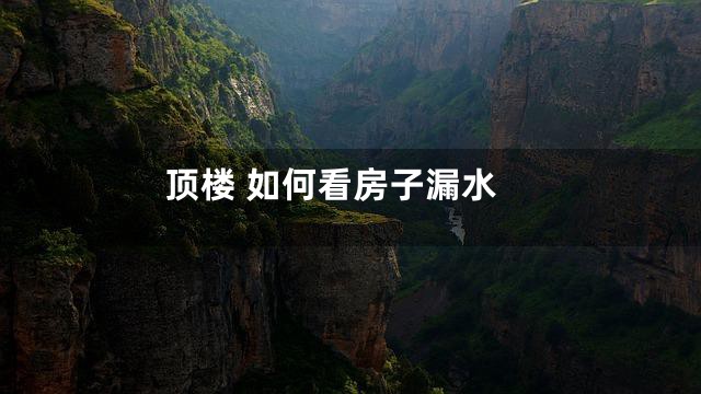 顶楼 如何看房子漏水