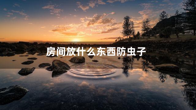 房间放什么东西防虫子