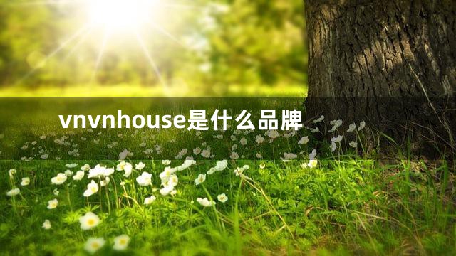 vnvnhouse是什么品牌