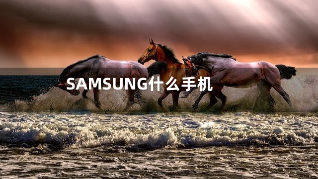 SAMSUNG什么手机