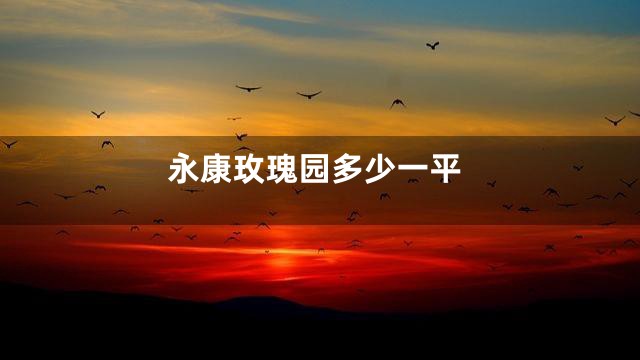 永康玫瑰园多少一平