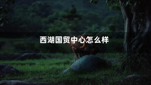 西湖国贸中心怎么样