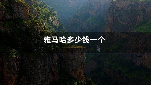 雅马哈多少钱一个