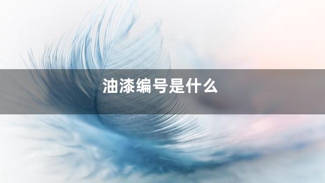 油漆编号是什么