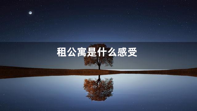 租公寓是什么感受
